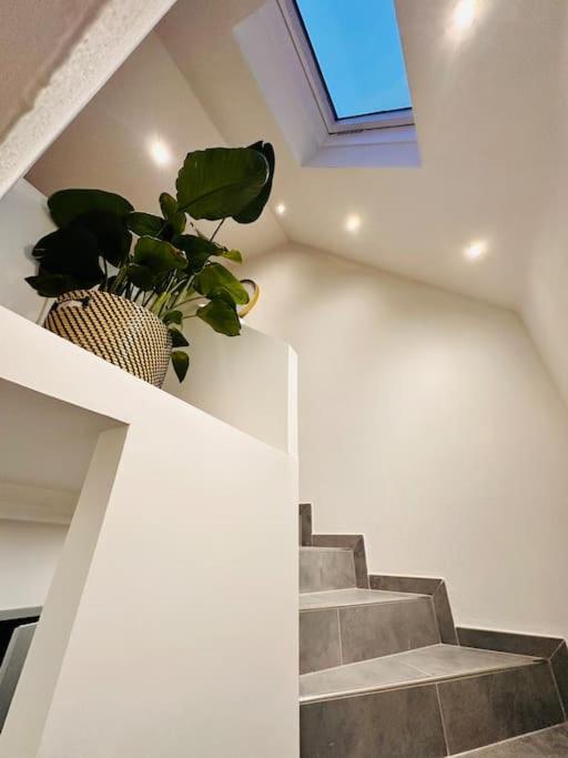 Superbe Maison A Proximite Du Centre De Strasbourg Bischheim ภายนอก รูปภาพ