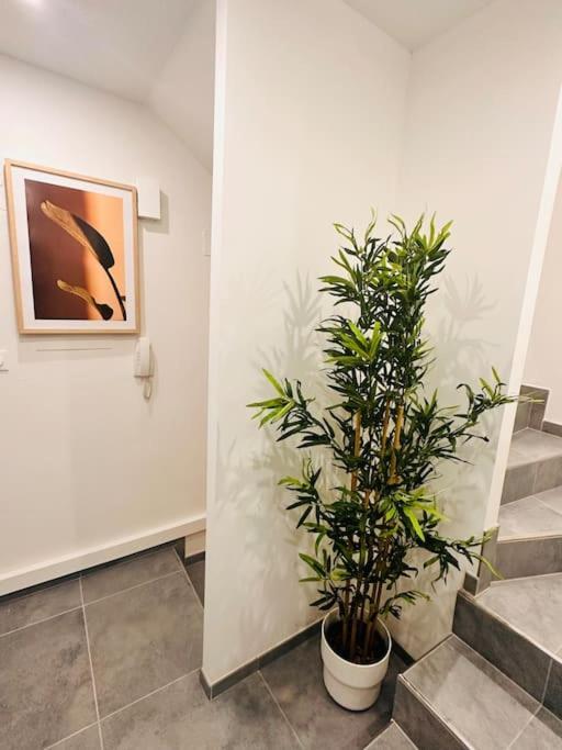 Superbe Maison A Proximite Du Centre De Strasbourg Bischheim ภายนอก รูปภาพ